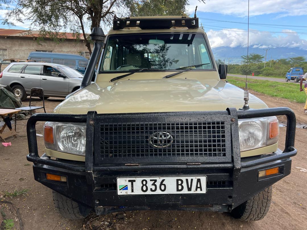 Safari Wildlife Photography